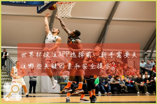 世界杯投注APP选择前,新手需要关注哪些关键因素和安全提示?