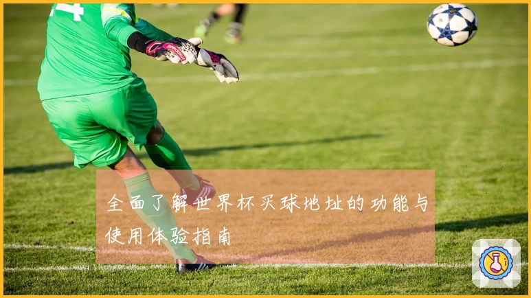 全面了解世界杯买球地址的功能与使用体验指南