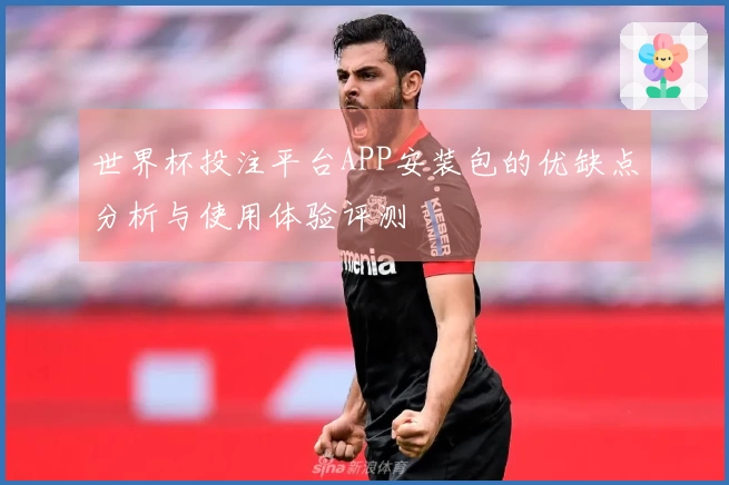 世界杯投注平台APP安装包的优缺点分析与使用体验评测