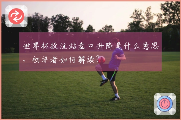 世界杯投注站盘口升降是什么意思,初学者如何解读?