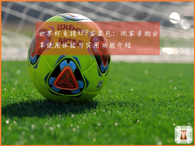 世界杯竞猜APP安装包：玩家亲测分享使用体验与实用功能介绍
