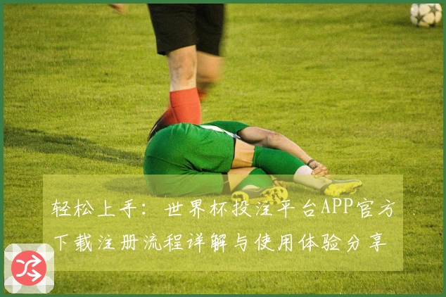 轻松上手：世界杯投注平台APP官方下载注册流程详解与使用体验分享