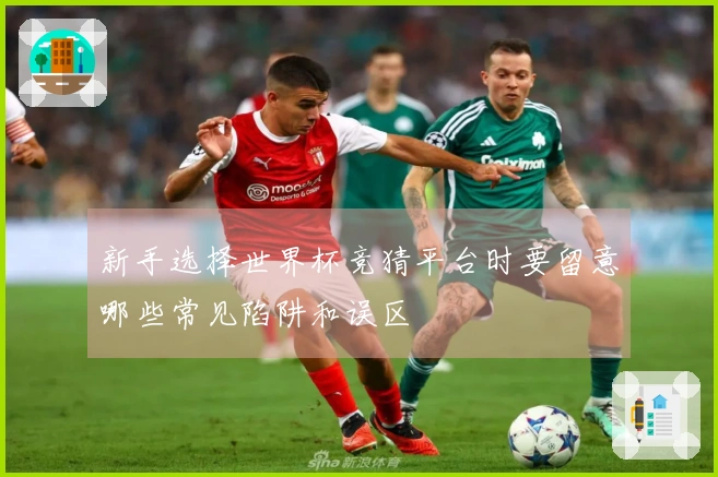 新手选择世界杯竞猜平台时要留意哪些常见陷阱和误区