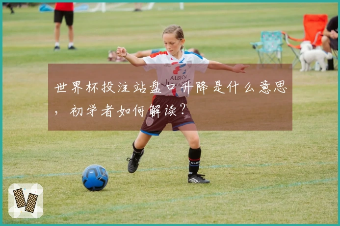 世界杯投注站盘口升降是什么意思，初学者如何解读？
